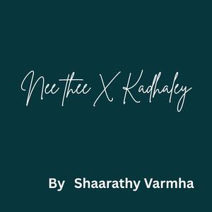 Nee thee X Kadhaley (Instrumental)