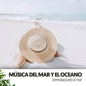 Serenos reflejos oceánicos