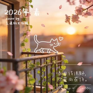 风之谷