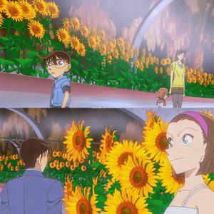 像昨天武汉给我的回忆