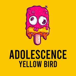 Adolescence