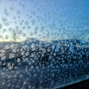 被爱并非与生俱来