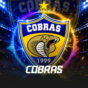 COBRAS HINO OFICIAL