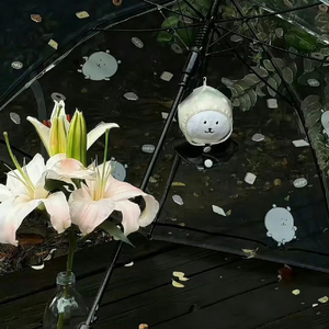 火羊瞌睡了-春至爱萌（xixi remix）