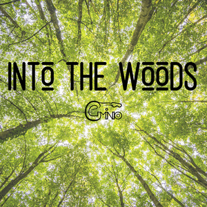 Into The Woods