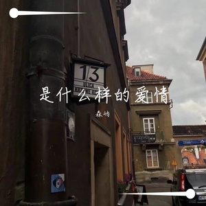 什么样的爱情-森屿（翻自 张阳阳）