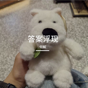 答案浮现