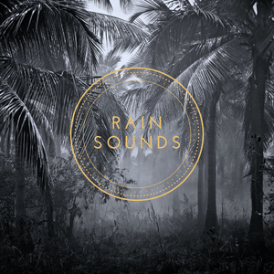 Rain Drops Soundscape