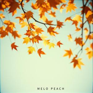 낙엽처럼 흩어진 우리