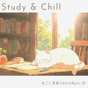 ハイパーフォーカスモード - Hype Focus Mode