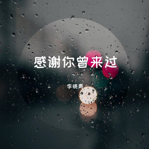 Ayo97-感谢你曾来过（李晓贵 remix）