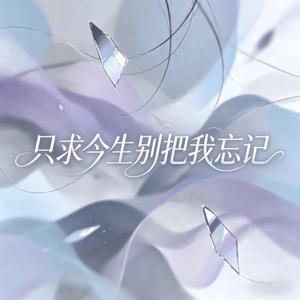 只求今生别把我忘记（相爱的痕迹）