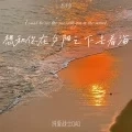 想和你在夕阳之下去看海 (浪漫治愈系)