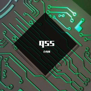 qssd