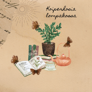 Koiperhosia lompakossa