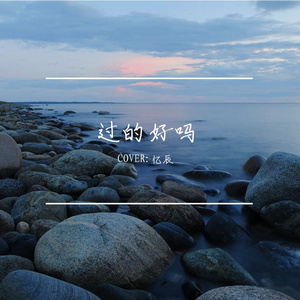 过得好吗（Remix）