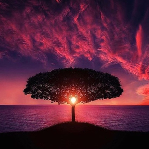 费洛蒙（翻自 蔡健雅）