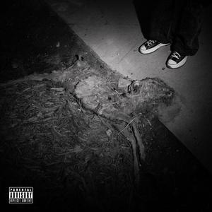 LOW (MOUSE_MASTER2 08.02.23)