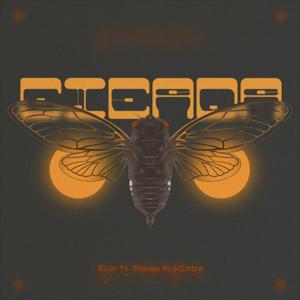 Cicada (feat. Ouchi)