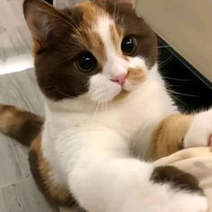 Don't Stop Me Now (slowed)