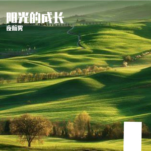 项目成的欢唱