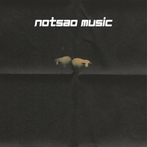 knicks ( slowed + reverb )