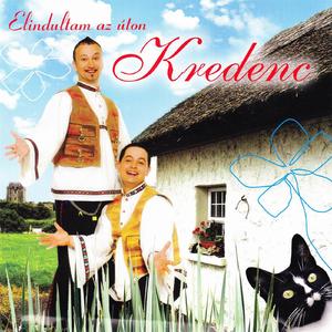 Jegenyefan feszket rak a csoka