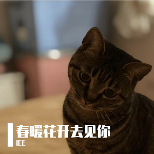 春暖花开去见你