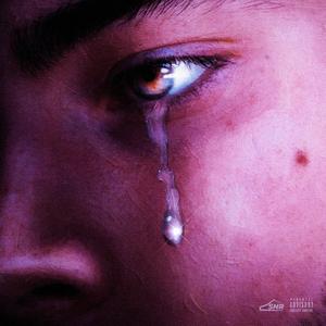 Meglio Tardi Che Mai