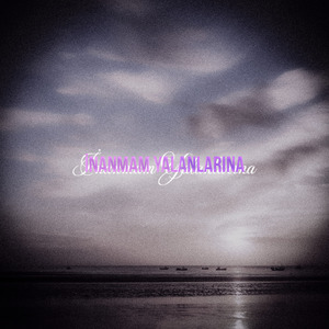 İnanmam Yalanlarına (Enstrümantal)