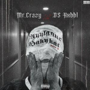 Ayylganc Hakykat Pt. 2 (feat. Mr.Crazy Official & Ds Hxbbl)