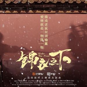 桃夭 琵琶（翻自 锦衣之下）