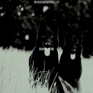 微妙的可爱的狗心情