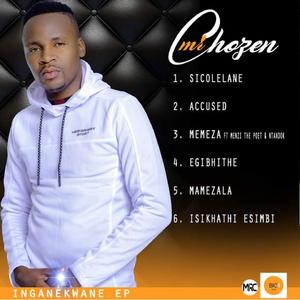 Memeza 2.0 (feat. Menzi the Poet & Ntando)