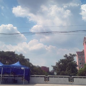 当我像鸟飞往你的山