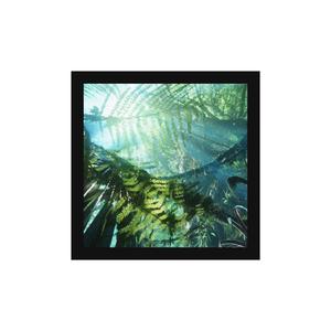 Daintree Rainfore$t (Gwi_Lo Remix)