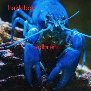 solbrent (feat. halvi thycat)