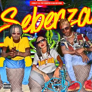 Sebenza (feat. Fifi Cooper & Major King)