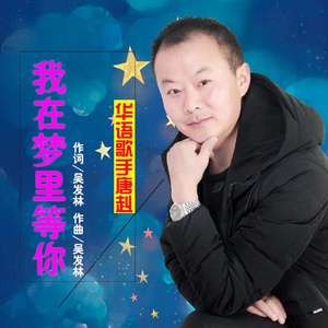 我在梦里等你 (伴奏)