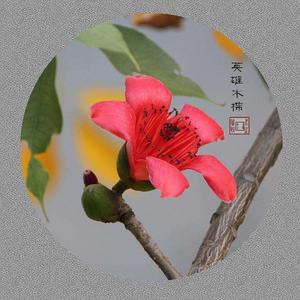 我在神经什么 [高质量]（翻自 许佳慧）