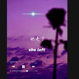 她走了