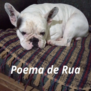 Poema de Rua