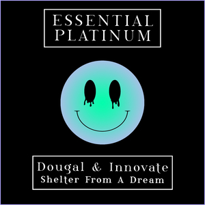 Shelter From A Dream