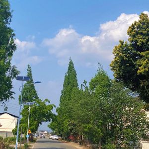 [FREE]“清晨的晨跑“ Free type beat