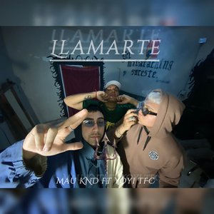 Llamarte