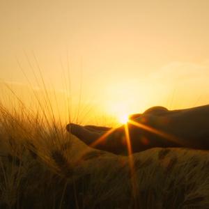 纯爱战士 胖猫传说