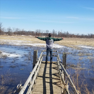 Feel Free to Feel Free