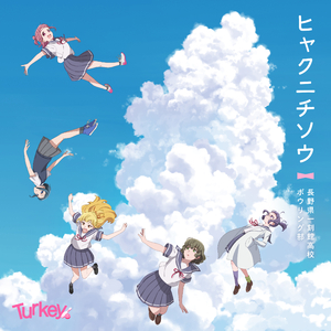 ヒャクニチソウ