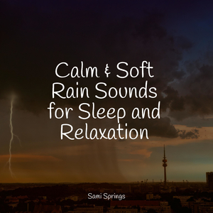 Forest Sounds (Birds)