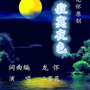 寂寞夜色（Cover 龙怀）